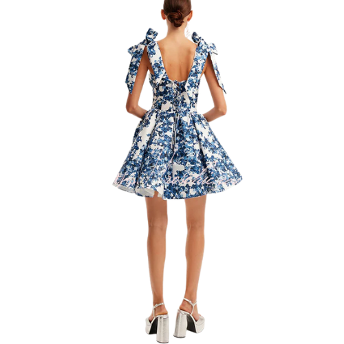 Women’s Floral Print Mini Dress