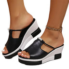 Black / 6