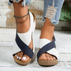 Navy Blue / 6