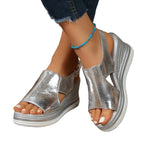 Silver / 6